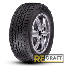 Roadx RXFrost WH01 205/55 R16 91H