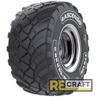Ascenso FTR 170 (с/х) 560/60 R22.5 165D Ascenso FTR 170 (с/х) 560/60 R22.5 165D