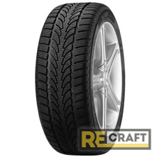 Nokian WR 295/30 R19 100V XL N0