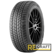 Doublestar WINTERKING DW09 235/55 R17 99T